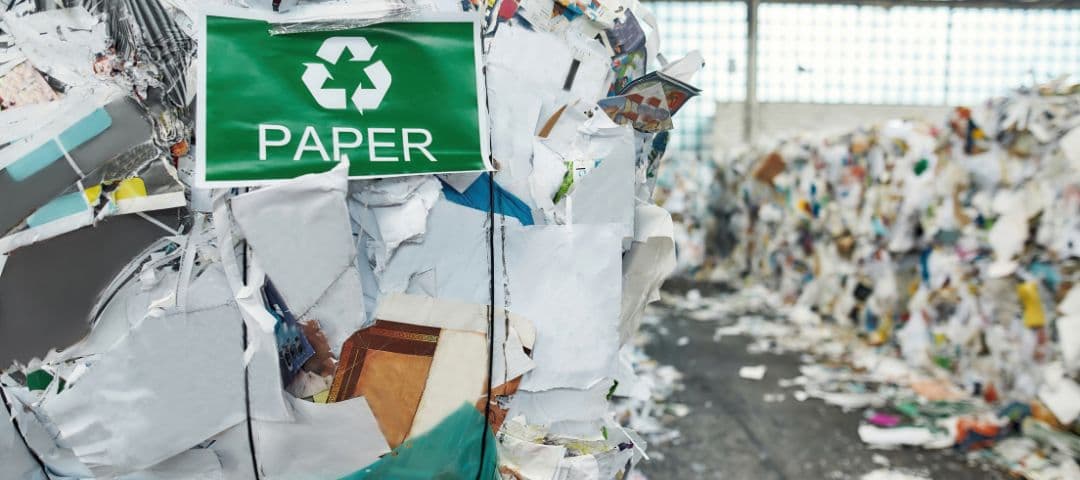 Paper Waste